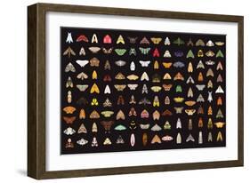 Pachanga Moths from Ecuador-Belen Mena-Framed Giclee Print