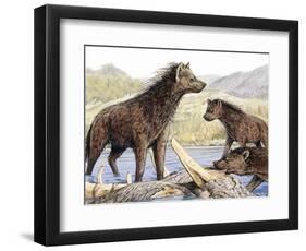 Pachycrocuta Prehistoric Hyenas-null-Framed Photographic Print
