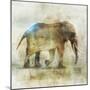 Pachyderm Dance 1-Ken Roko-Mounted Art Print