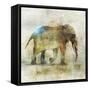 Pachyderm Dance 1-Ken Roko-Framed Stretched Canvas