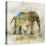 Pachyderm Dance 1-Ken Roko-Stretched Canvas