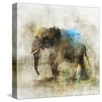 Pachyderm Dance 2-Ken Roko-Stretched Canvas