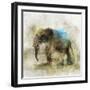 Pachyderm Dance 2-Ken Roko-Framed Art Print