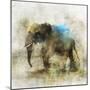 Pachyderm Dance 2-Ken Roko-Mounted Art Print