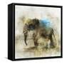 Pachyderm Dance 2-Ken Roko-Framed Stretched Canvas