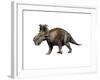 Pachyrhinosaurus Dinosaur-null-Framed Art Print