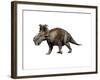 Pachyrhinosaurus Dinosaur-null-Framed Art Print