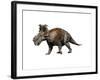 Pachyrhinosaurus Dinosaur-null-Framed Art Print