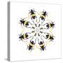 Pachyteria Sumatrana Long Horn Beetle Circular Design-Darrell Gulin-Stretched Canvas