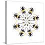 Pachyteria Sumatrana Long Horn Beetle Circular Design-Darrell Gulin-Stretched Canvas