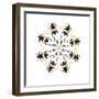 Pachyteria Sumatrana Long Horn Beetle Circular Design-Darrell Gulin-Framed Photographic Print