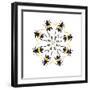 Pachyteria Sumatrana Long Horn Beetle Circular Design-Darrell Gulin-Framed Photographic Print