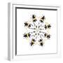 Pachyteria Sumatrana Long Horn Beetle Circular Design-Darrell Gulin-Framed Photographic Print