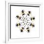 Pachyteria Sumatrana Long Horn Beetle Circular Design-Darrell Gulin-Framed Photographic Print