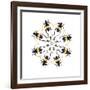 Pachyteria Sumatrana Long Horn Beetle Circular Design-Darrell Gulin-Framed Photographic Print