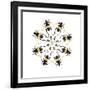 Pachyteria Sumatrana Long Horn Beetle Circular Design-Darrell Gulin-Framed Photographic Print