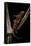 Pachytriton Breviceps-Paul Starosta-Framed Stretched Canvas