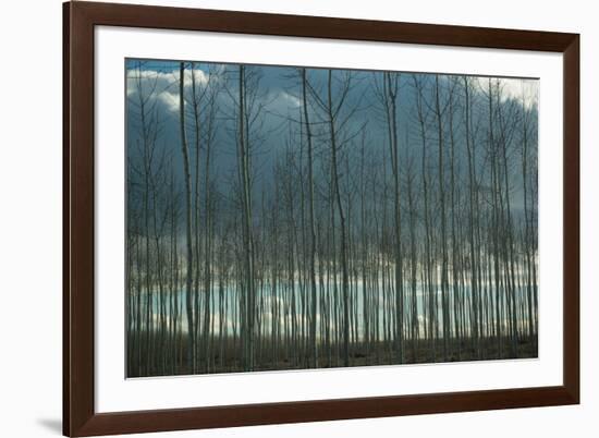 Pacific Albus and Clouds I-Erin Berzel-Framed Premium Giclee Print