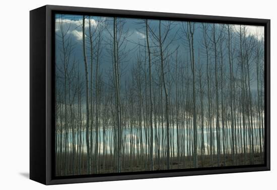 Pacific Albus and Clouds I-Erin Berzel-Framed Stretched Canvas