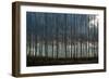 Pacific Albus and Clouds II-Erin Berzel-Framed Photographic Print