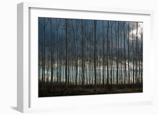 Pacific Albus and Clouds II-Erin Berzel-Framed Photographic Print