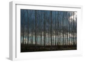 Pacific Albus and Clouds II-Erin Berzel-Framed Photographic Print