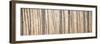 Pacific Albus Pano II-Erin Berzel-Framed Photographic Print