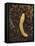 Pacific Banana Slug-Bob Gibbons-Framed Stretched Canvas