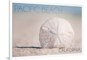 Pacific Beach, California - Sand Dollar on Beach-Lantern Press-Framed Art Print