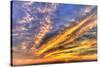 Pacific Beach, San Diego, California-Stuart Westmorland-Stretched Canvas