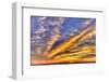 Pacific Beach, San Diego, California-Stuart Westmorland-Framed Photographic Print