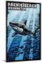 Pacific Beach, Washington - Great White Shark - Scratchboard-Lantern Press-Mounted Art Print