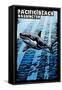 Pacific Beach, Washington - Great White Shark - Scratchboard-Lantern Press-Framed Stretched Canvas