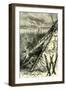 Pacific Coast and the Yosemite Valley 1891, USA-null-Framed Giclee Print