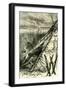 Pacific Coast and the Yosemite Valley 1891, USA-null-Framed Giclee Print