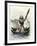 Pacific Coast Fisher 1869, Peru-null-Framed Giclee Print
