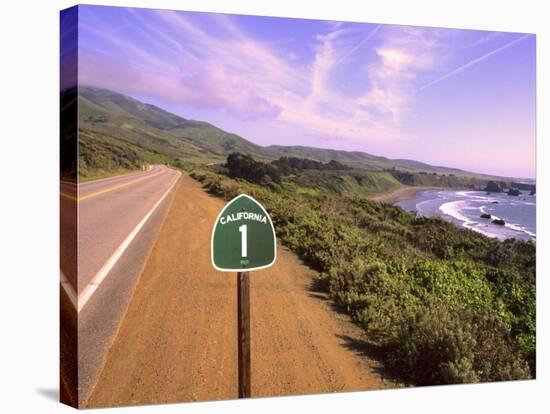 Pacific Coast Highway, California Route 1 near Big Sur, California, USA-Bill Bachmann-Stretched Canvas