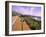 Pacific Coast Highway, California Route 1 near Big Sur, California, USA-Bill Bachmann-Framed Premium Photographic Print