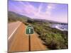 Pacific Coast Highway, California Route 1 near Big Sur, California, USA-Bill Bachmann-Mounted Photographic Print