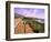 Pacific Coast Highway, California Route 1 near Big Sur, California, USA-Bill Bachmann-Framed Photographic Print