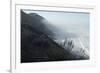 Pacific Coast Near Westport, Northern California-Natalie Tepper-Framed Photo