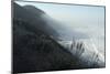 Pacific Coast Near Westport, Northern California-Natalie Tepper-Mounted Photo