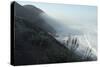 Pacific Coast Near Westport, Northern California-Natalie Tepper-Stretched Canvas