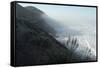 Pacific Coast Near Westport, Northern California-Natalie Tepper-Framed Stretched Canvas