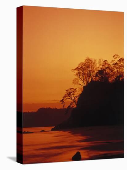 Pacific Coast Rain Forest at Dusk, Costa Rica-Robert Houser-Stretched Canvas