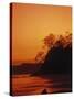 Pacific Coast Rain Forest at Dusk, Costa Rica-Robert Houser-Stretched Canvas