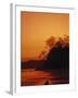 Pacific Coast Rain Forest at Dusk, Costa Rica-Robert Houser-Framed Premium Photographic Print