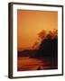 Pacific Coast Rain Forest at Dusk, Costa Rica-Robert Houser-Framed Premium Photographic Print