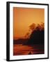 Pacific Coast Rain Forest at Dusk, Costa Rica-Robert Houser-Framed Premium Photographic Print