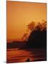 Pacific Coast Rain Forest at Dusk, Costa Rica-Robert Houser-Mounted Premium Photographic Print